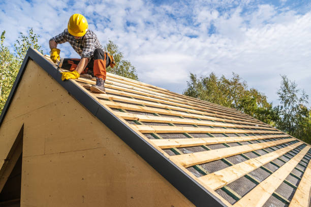 Roof Gutter Cleaning in Eagle Point, OR